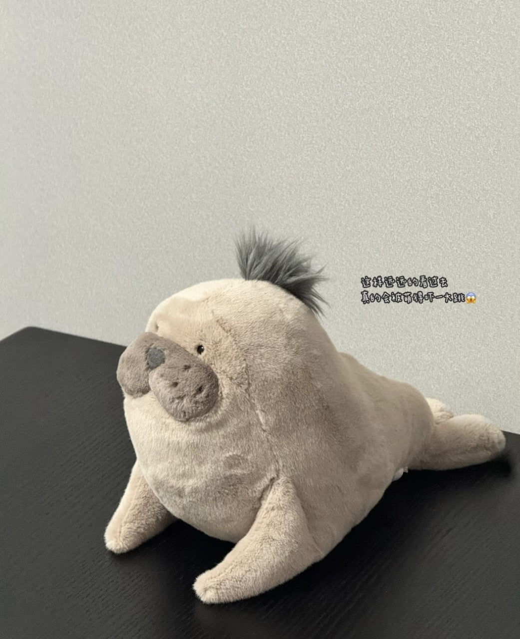 Ultra Soft Sea Lion Animal Plush Toys | Fluffy Stuffed Companion with JC Tags, Wholesale & Retail
