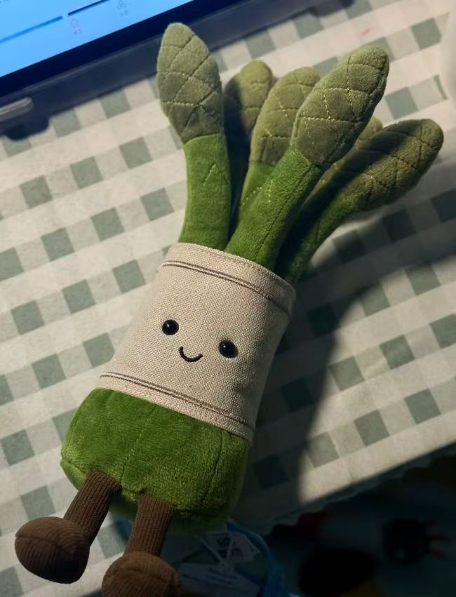 Lifelike Corn/Asparagus/Broccoli/Carrot Plant Plush Decor | Fluffy Botanical Stuffed Ornaments with JC Tags, Wholesale & Retail