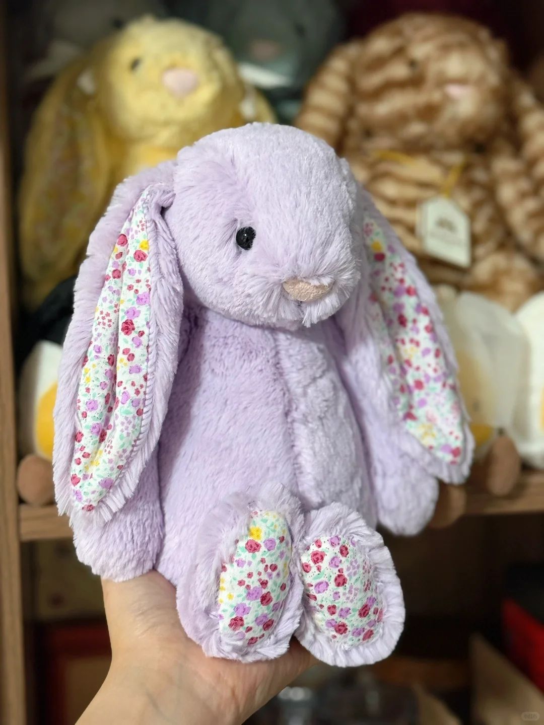 Ultra Soft Bonnie Rabbit Collection 31cm Plush | Fluffy Stuffed Animal with JC Tags, Wholesale & Retail