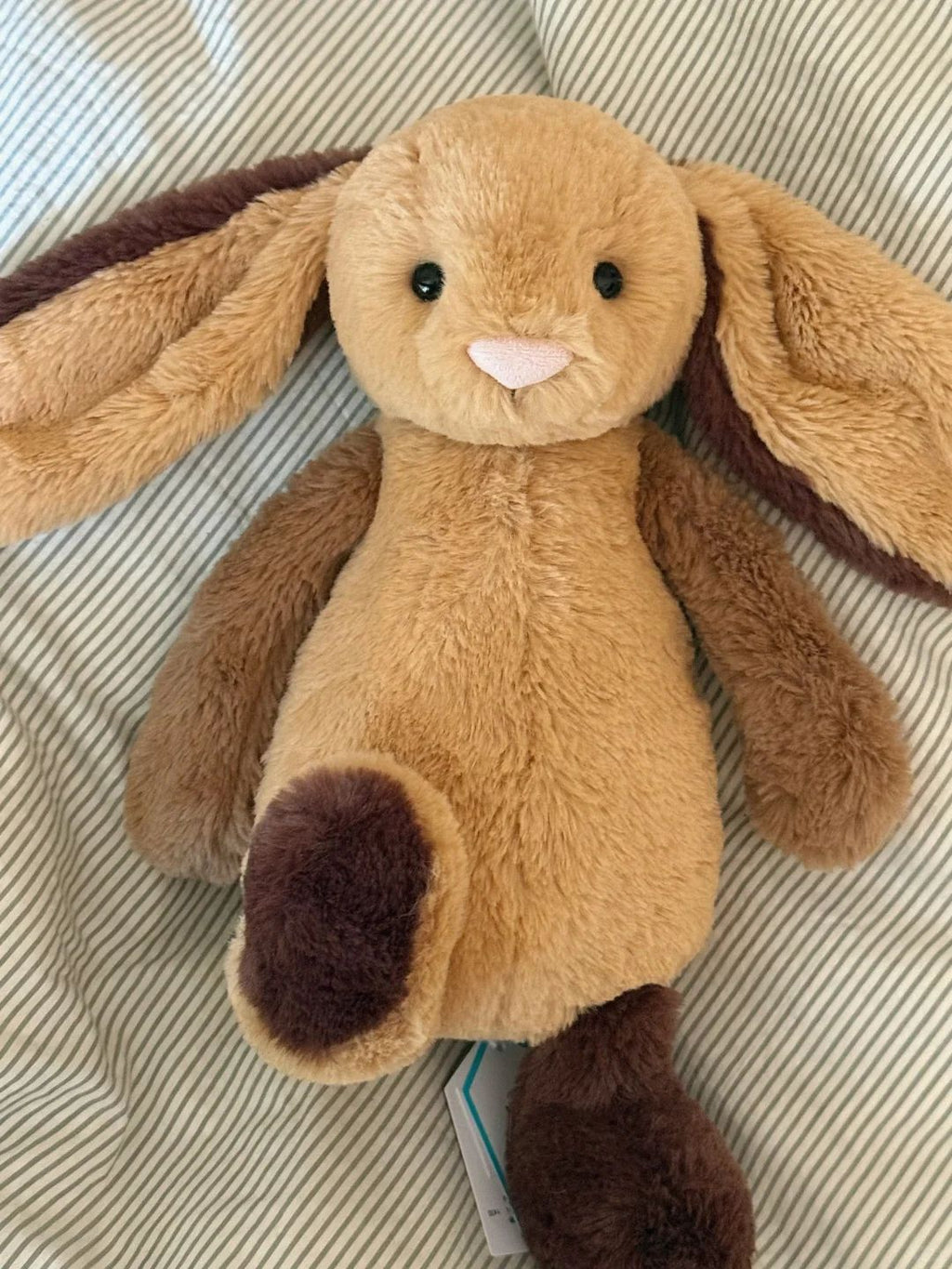 Ultra Soft Bonnie Rabbit Collection 31cm Plush | Fluffy Stuffed Animal with JC Tags, Wholesale & Retail
