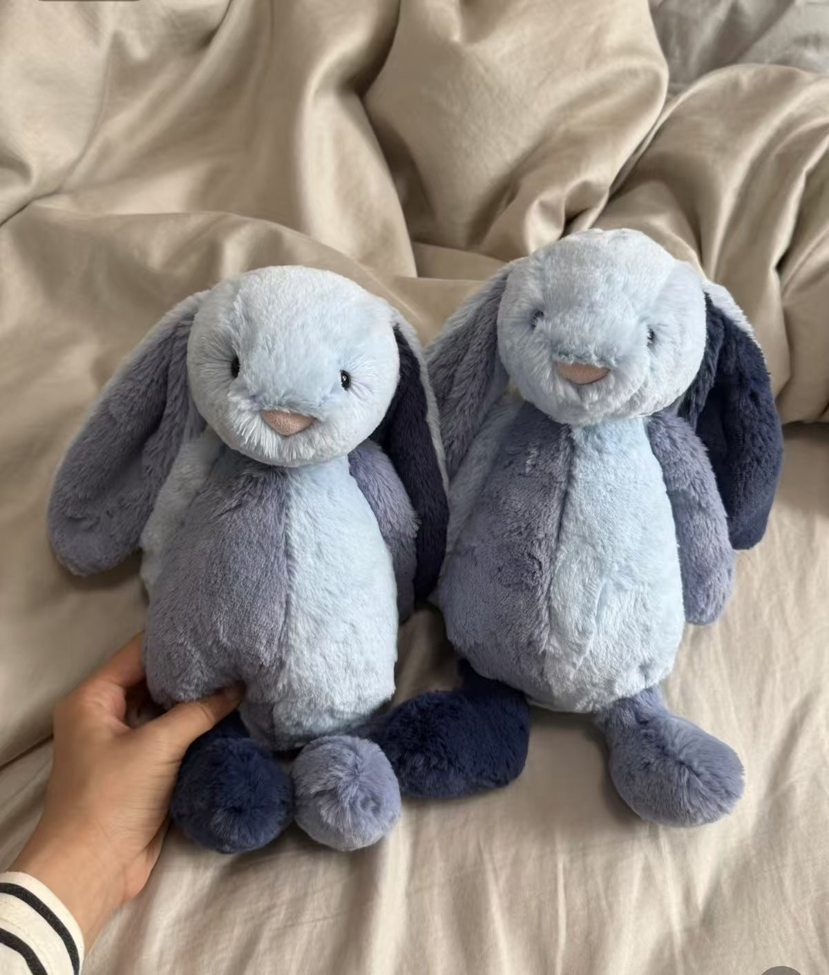 Ultra Soft Bonnie Rabbit Collection 31cm Plush | Fluffy Stuffed Animal with JC Tags, Wholesale & Retail
