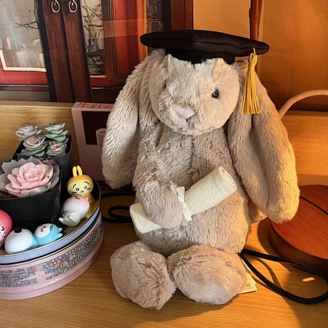 Ultra Soft Graduate Dr. Rabbit 31cm Plush | Fluffy Stuffed Animal with JC Tags, Wholesale & Retail